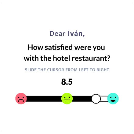 During-Stay Surveys