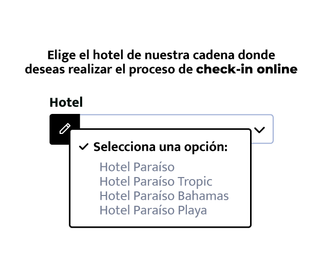 Selector para elegir el hotel de la cadena donde hacer el check-in online