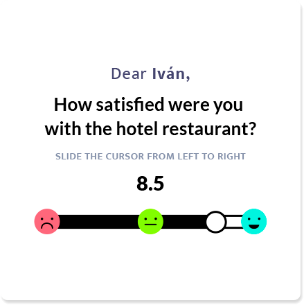 During-Stay Surveys