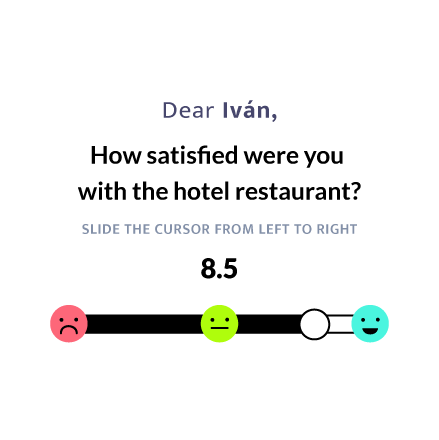 During-Stay Surveys
